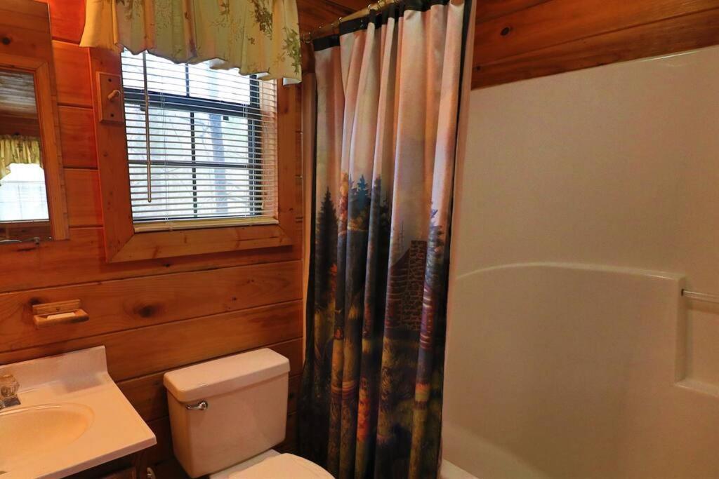 Mountain Cabin 2B Jacuzzi #10 เฮเลน ภายนอก รูปภาพ